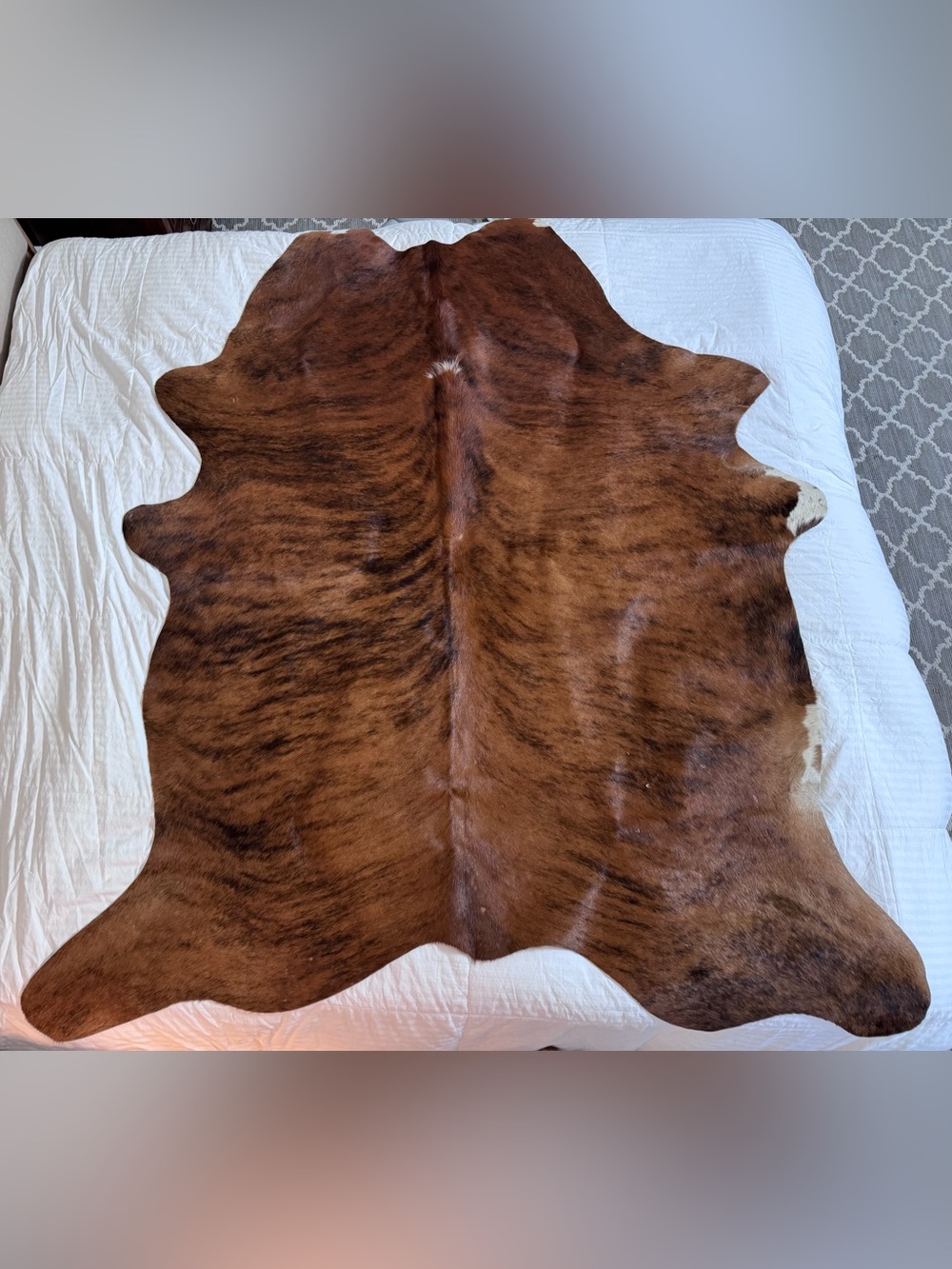 Genuine Brazilian Cowhide | Brindle | New